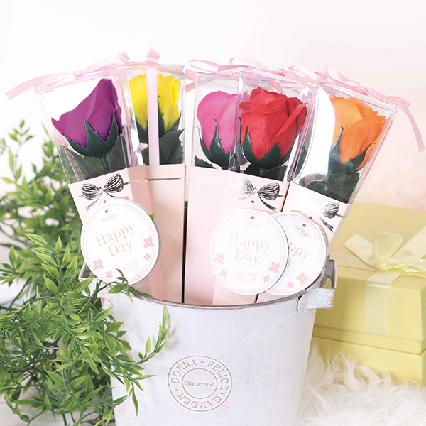 ���꡼���֡����ߥ�������