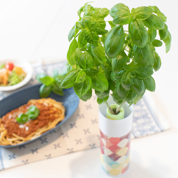 �ڥåȥܥȥ��̺��ݥ��å�