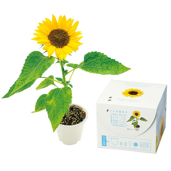 �ߥˤҤޤ����ݥ��å�