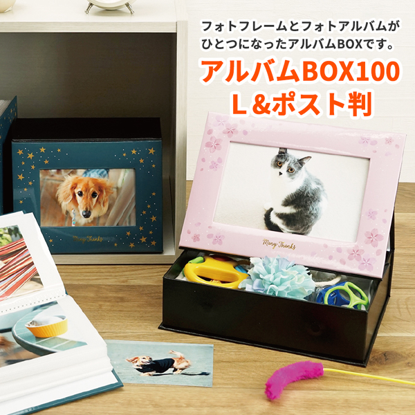 アルバムBOX100 L/ポスト判