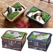 ���ꥭ�å� ���� ZEN GARDEN1��