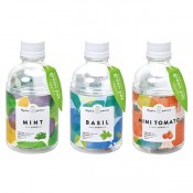 ���꡼��ڥå� 1��