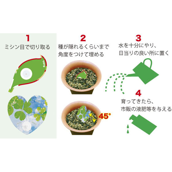 種付き卓上カレンダー(バジル) 種付き卓上カレンダー(バジル)